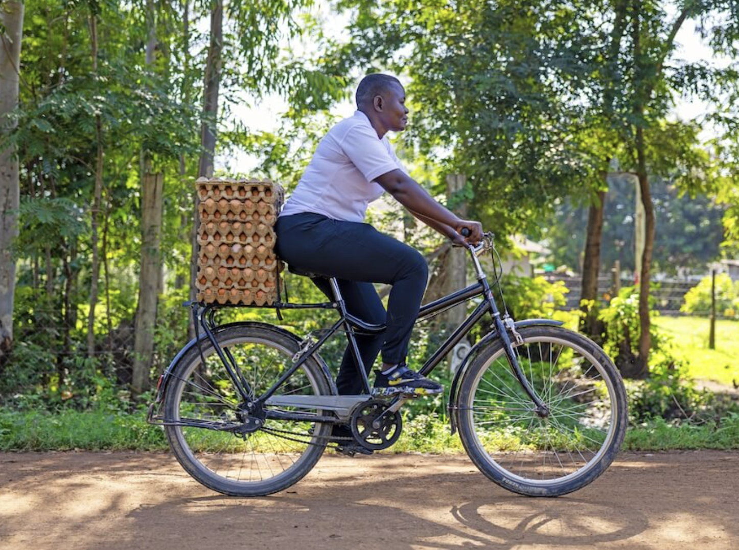 Buffalo Bicycle world relief 2