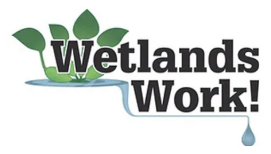 wetlands work logo
