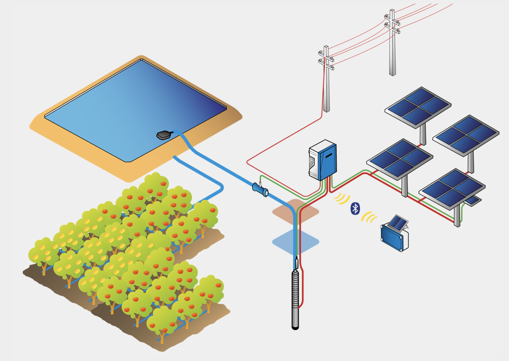Lorents P2K irrigation 2